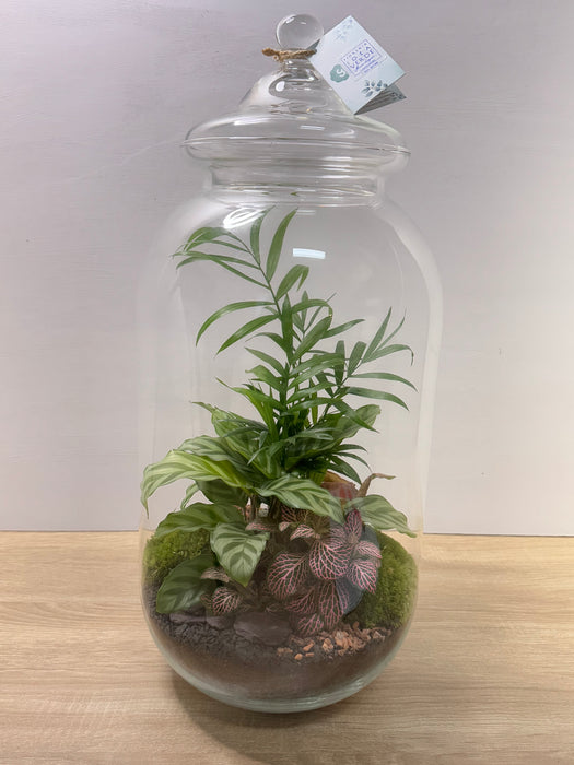 Terrarium Rimini Elena 002 - Green Mix