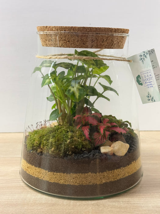 Terrarium Rimini Sally 001 - Green Mix