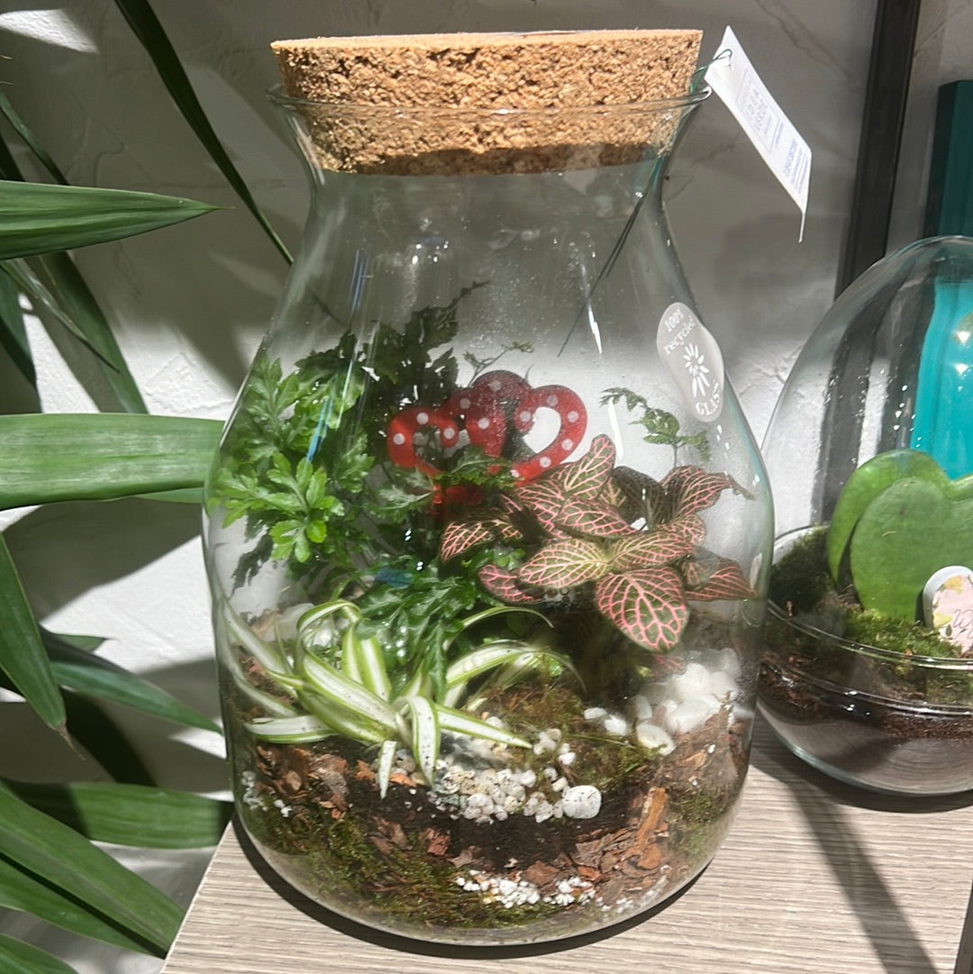 Terrarium - piccolo/medio Potafiori - ordina su Cosaporto