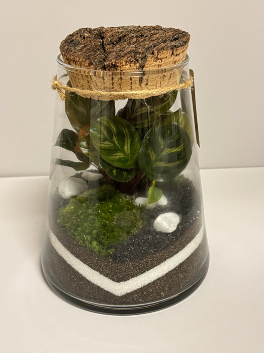 Terrarium Rimini Donna 002 - Calathea