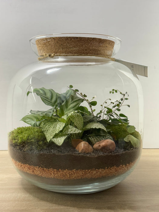 Terrarium Rimini Monica 001 - Green Mix