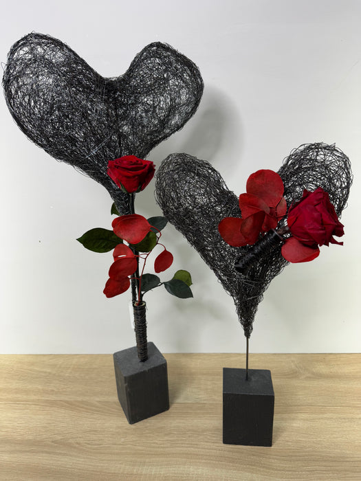 Cuore d’acciaio (60 cm) o (45 cm)