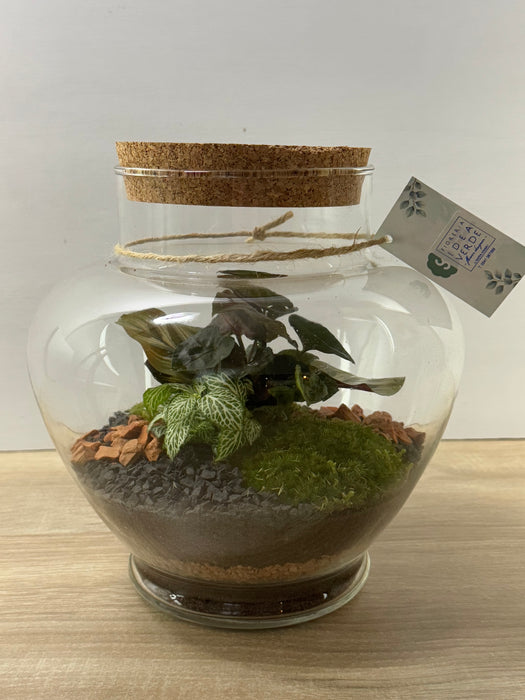 Terrarium Rimini Vitt 002 - Green Mix