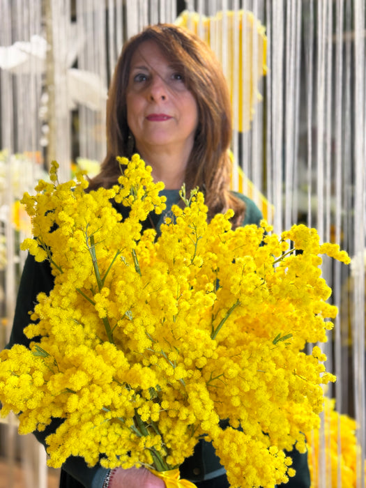 Scegli un bouquet e poi aggiungi Mimosa per 10 / 15 / 20 / 50 €uro