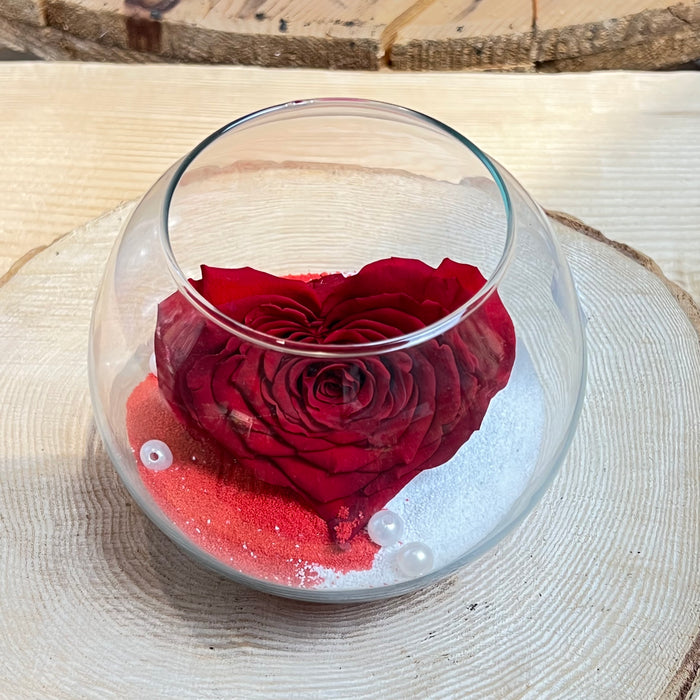 Stabilized rose: Heart-shaped red rose in glass and sand ampoule — Fioreria  Idea Verde Rimini